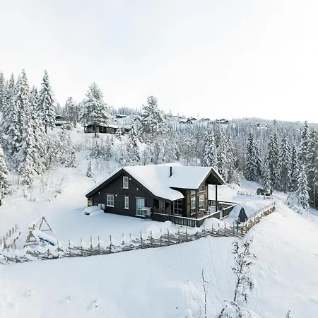Flott Utsikt Peis Elbillader Aurdal
